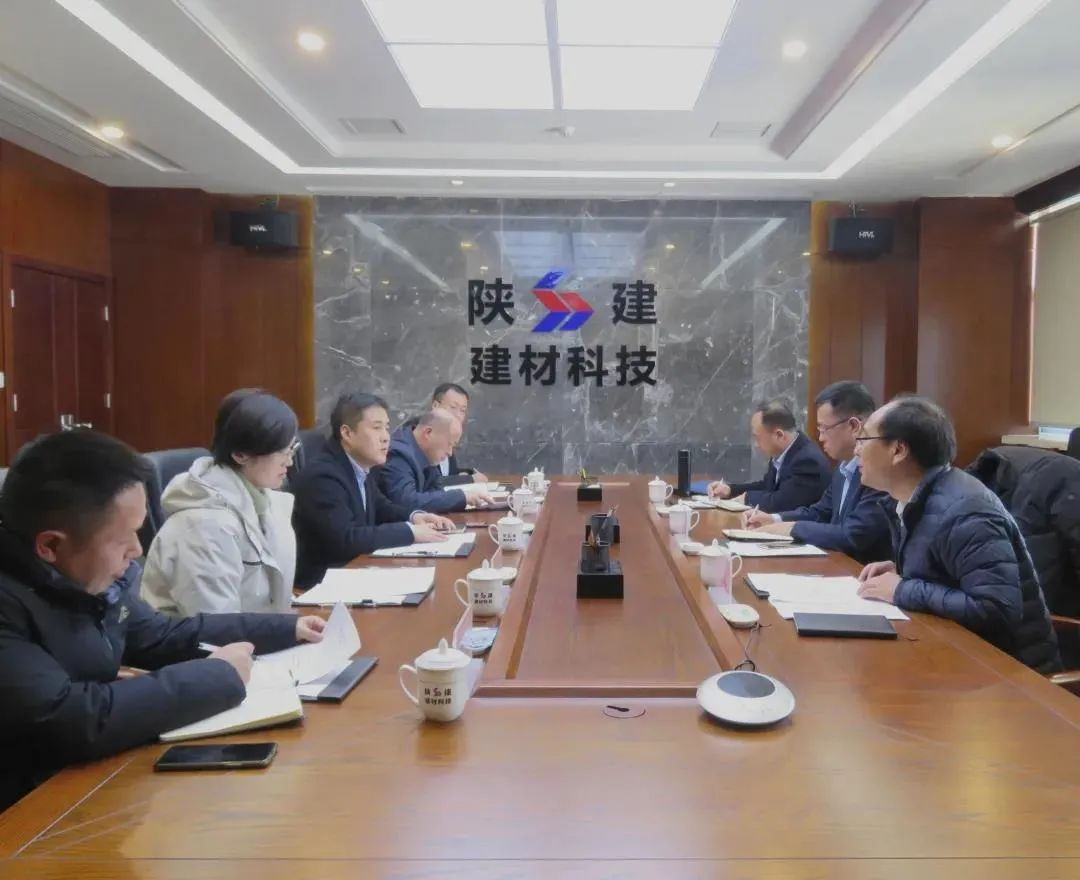 陜建產投集團黨委副書記、總經理吳常明一行到陜建建材科技公司調研指導工作